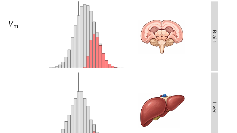Tissue-specific differences of gene expression variance in mutation accumulation lines of mice